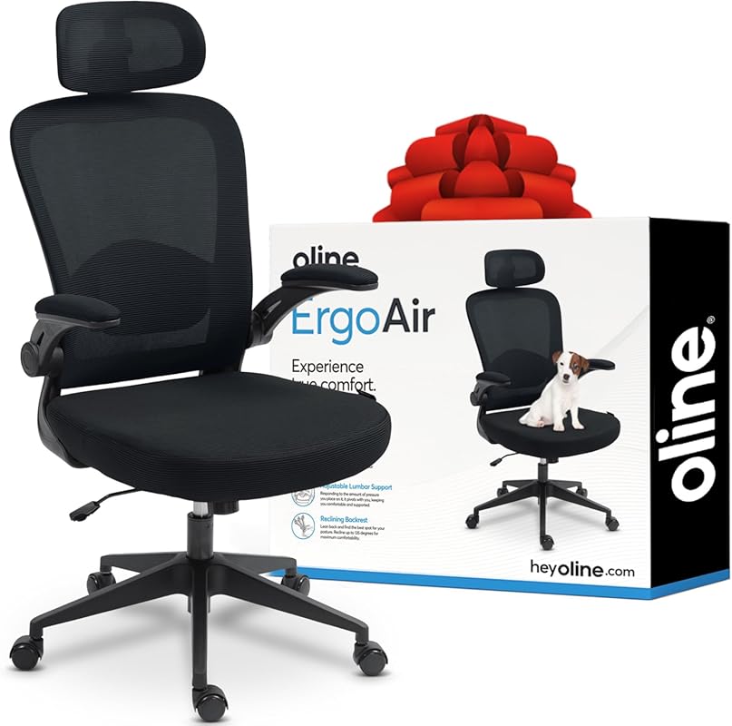 Oline ErgoAir Adjustable Lumbar Support Mesh Office Chair with Flip-Up